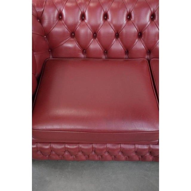 English Chesterfield 2.5 Seater Sofa and Chair in Cowhide Leather, Set of 2 For Sale - Image 6 of 18