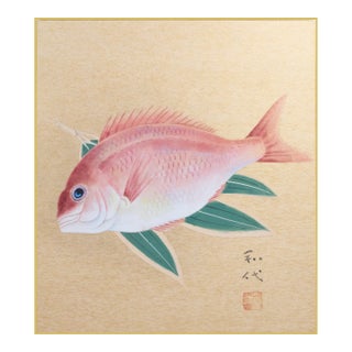 "Red Snapper", Heisei Era Japanese Watercolor Painting For Sale