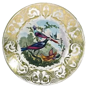 Antique Royal Derby Porcelain Bird Plate