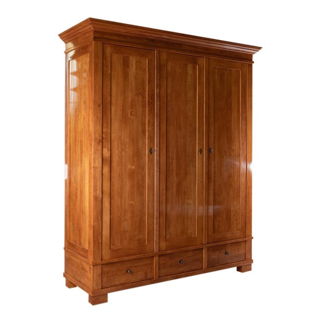Antique Biedermeier Wardrobe, 1860s For Sale - Image 9 of 9