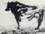 1960s Pablo Picasso, Bull, 1962, Double-Side offset Lithograph For Sale - Image 5 of 8