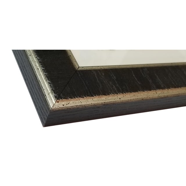 Munting Botanicals Set 7 Framed in Italian Wood Veneer Moulding Chairish