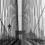 A dramatic view of the suspension wires maintaining a suspension bridge. 16" x 20" print Silver Gelatin print. Prints are...