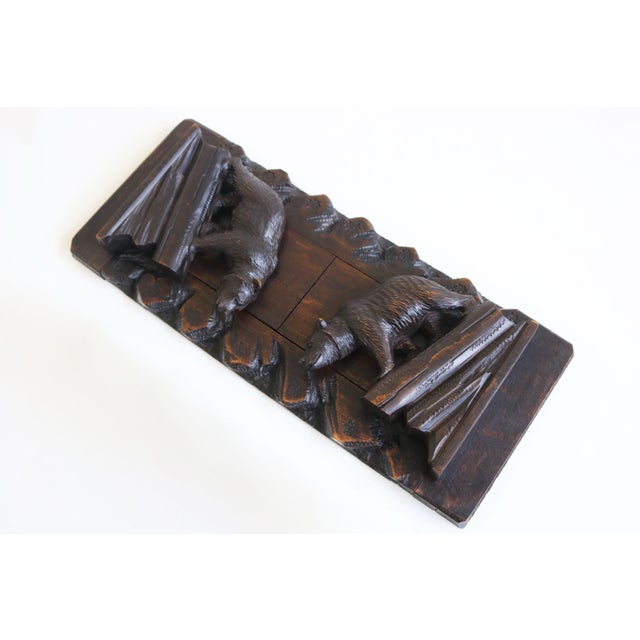 Antique Black Forest Bear Bookcase, 1890 For Sale - Image 10 of 11