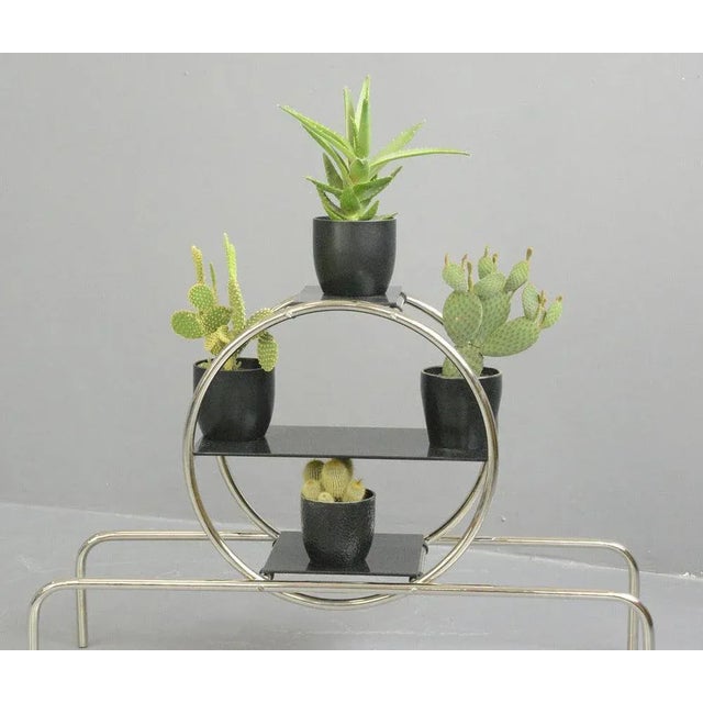 Bauhaus Plant Stand by Emile Guyot for Thonet, 1930s For Sale - Image 9 of 10