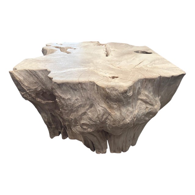 Andrianna Shamaris Bleached Teak Wood Sculptural Coffee Table or Pedestal For Sale