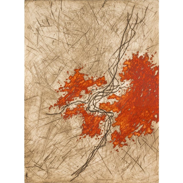 Yannick Ballif - Untitled (Orange Leaves) Signed Modern Embossed Relief Etching For Sale In Detroit - Image 6 of 6