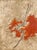 Yannick Ballif - Untitled (Orange Leaves) Signed Modern Embossed Relief Etching For Sale In Detroit - Image 6 of 6