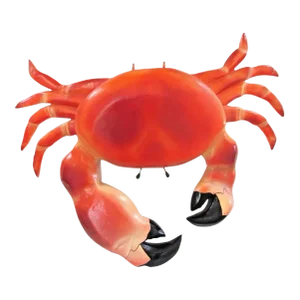 1960s Large Hanging Plastic Stone Crab Sculpture Display