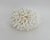 Large natural Birdsnest coral specimen, each piece cleaned and trimmed from its natural raw state. We hand select every...