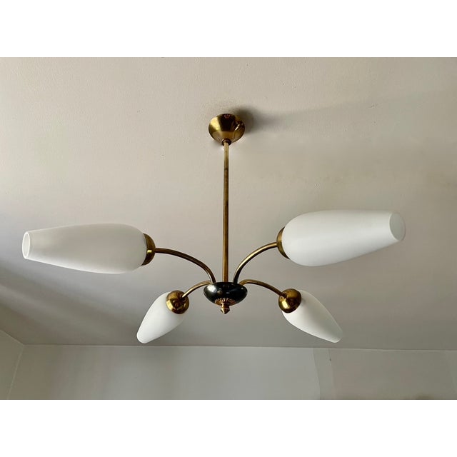 Chandelier with Four Tulips by Arlus, 1950 For Sale - Image 9 of 9