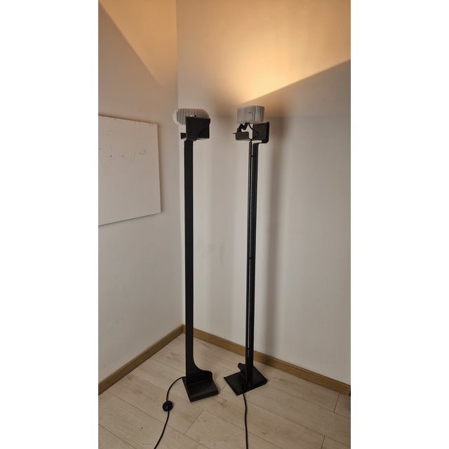 Cobra Floor Lamp by Luigi Caccia Dominioni for Azucena, 1970s For Sale - Image 10 of 18