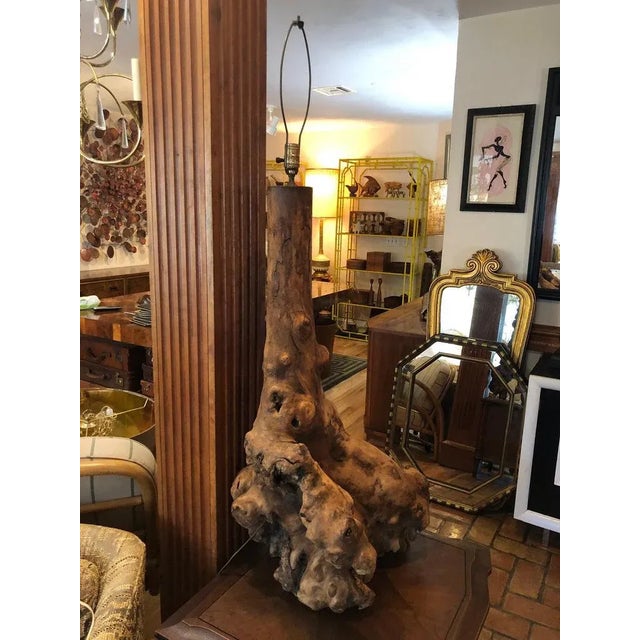 1960s 1960s Monumental Mid Century Driftwood Lamp For Sale - Image 5 of 13