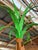Metal Monumental Custom Metal Tole Palm Tree Architectural Installations – Pair For Sale - Image 7 of 12