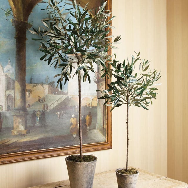 100% realistic a perfect copy of an olive tree. This dropin is a nomaintenance work of art. Complete with a wellsuited...