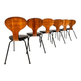 Rare Bentwood Dining with Metal Bases Chairs by Norman Cherner for Plycraft, USA, 1963 - Set of 6 For Sale