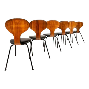 Rare Bentwood Dining with Metal Bases Chairs by Norman Cherner for Plycraft, USA, 1963 - Set of 6