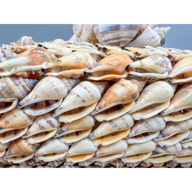 Vintage Coastal Seashell Covered Shell Encrusted Box – Coastal / Tropical For Sale - Image 18 of 18