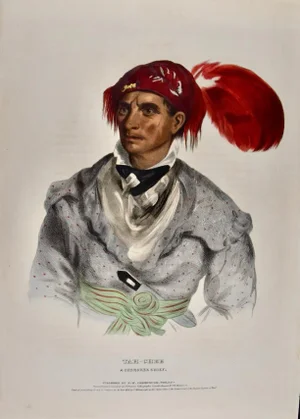 Tah-Chee, Cherokee Chief: A 19th C. Folioisized Hand-Colored McKenney & Hall Lithograph