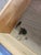 Wood Lane Furniture Walnut and Laminate Six Drawer Dresser For Sale - Image 7 of 11