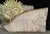 Rare 80" Vintage c.1940's Concrete Frieze Triptych Wall Mounted Garden Art - Sun & Roosters / Chickens For Sale - Image 13 of 13