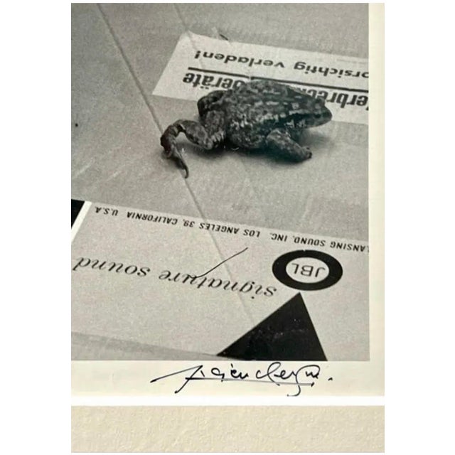 Lucien Clergue, Silver Gelatin Photograph Hand Signed Photo Pablo Picasso Profile Lucien Clergue, 1968 For Sale - Image 4 of 5