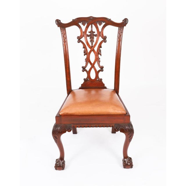 Antique Chippendale Mahogany Dining Chairs 1900s, Set of 12 For Sale - Image 11 of 18
