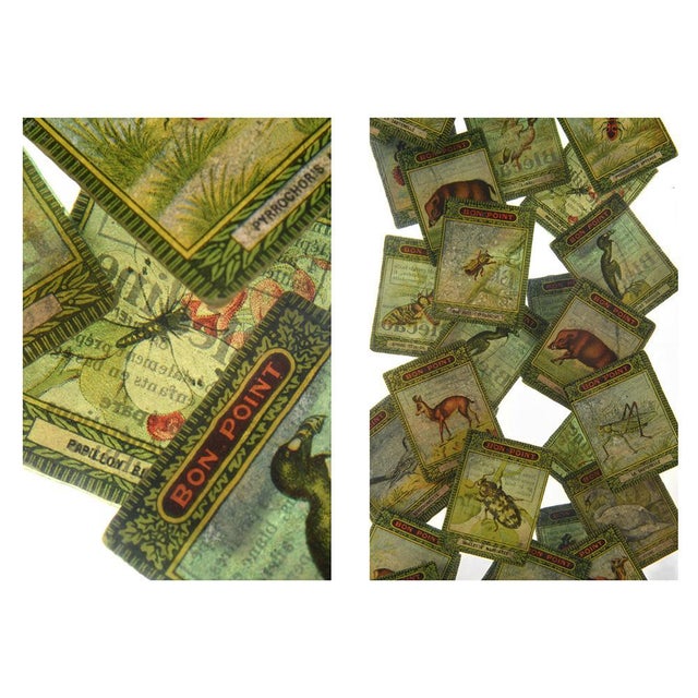 Composition of Tokens Frozen in Resin For Sale - Image 4 of 5