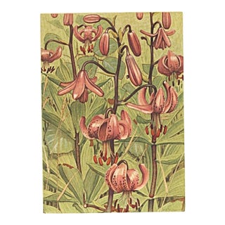 1945 Botanical Watercolor Lithograph-Lily For Sale