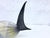 Murano Glass Fish Sculpture, 1960s by Gaetano Mazzucato For Sale - Image 6 of 9