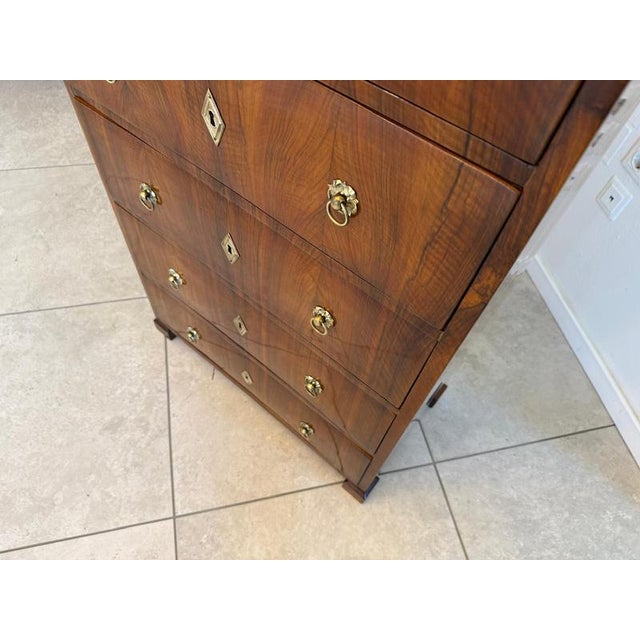 Wood Biedermeier Week Dresser in Walnut For Sale - Image 7 of 16
