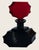 5” high, 3.5” wide, a very rare black bottle and red stopper with intact dauber as well, marked acid etched “Made in...
