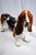 19th Century Ceramic Life-Sized Basset Hound For Sale - Image 4 of 5