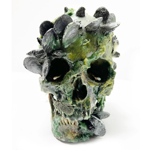 Underwater Nautical Skull From the Hit American Crime Show, Bones For Sale In Phoenix - Image 6 of 7