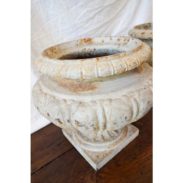 19th Century Cast Iron Cream Planter For Sale - Image 4 of 4