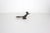 Mid Century Modern Wood Road Runner, Vintage Carved Exotic Wooden Bird For Sale - Image 6 of 7