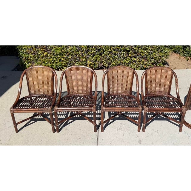 McGuire Authentic McGuire Vintage Rattan Dining Chairs, a Set of 4 With Caned Backs For Sale - Image 4 of 14
