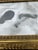 Abstract Contemporary Original Abstract Ink Painting Heavy Chunky Gold Wood Frame For Sale - Image 3 of 4