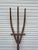 Wood Large 19th Century Farmhouse Wooden Pitchfork For Sale - Image 7 of 12