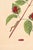 Not Yet Made - Made To Order Antique Botanical Study With Moths, 1797 Vintage Art Print Reproduction, 16" X 24" For Sale - Image 5 of 10