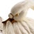 Ceramic Vintage Ceramic Italian Swan Tureen With White Ladle and Lid - Hollywood Regency For Sale - Image 7 of 10