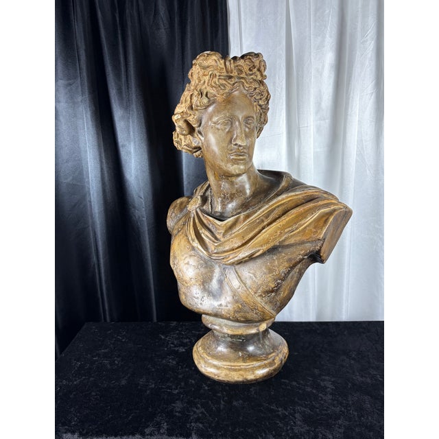 24" Mid-Century Italian Basco "Attila's Antiquity" Patinated Chalkware Bust of Apollo Belvedere For Sale In Phoenix - Image 6 of 11