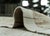 Textile Turkish Tulu Handmade Rug 8'1" x 10'10" #19262 For Sale - Image 7 of 8