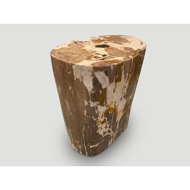 2010s Andrianna Shamaris Ancient Petrified Wood Side Table For Sale - Image 5 of 6