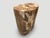 2010s Andrianna Shamaris Ancient Petrified Wood Side Table For Sale - Image 5 of 6