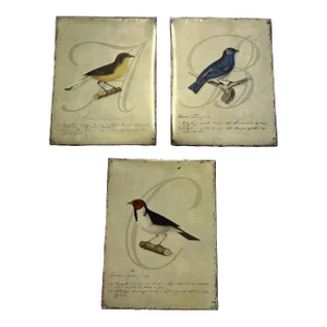 Set of 3 Tin Wall Plaques Decorated With Edward’s Birds Transferred, 1930s