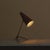 A petite Italian table lamp by Stilux, dating to the 1950s. This compact design features a slender brass frame with a warm...