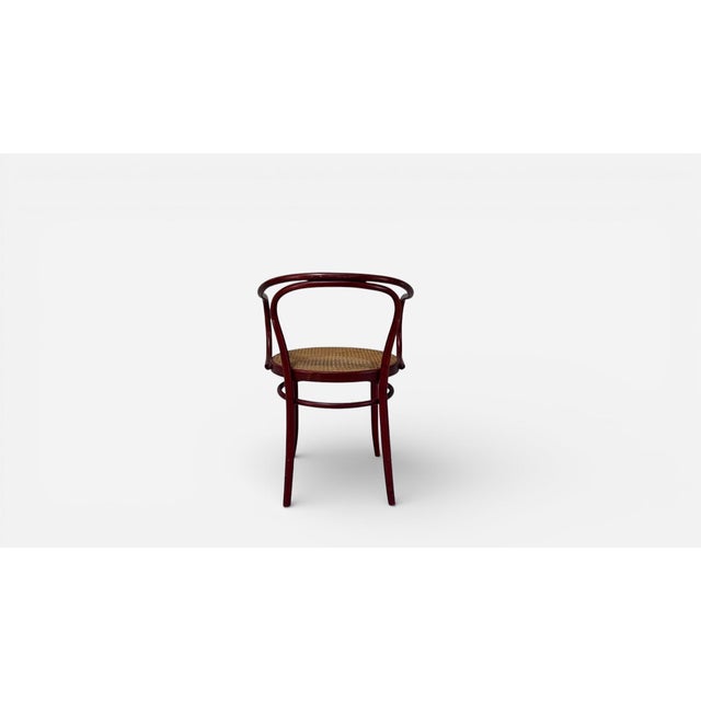 1930s 209 Chair Attributed to Gebrüder Thonet - 1 of 2 No Thonet Label Present. For Sale - Image 9 of 14