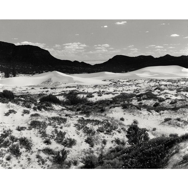 Dunes' Kanab, Utah, USA 2023 Limited edition of 15. Photograph shot using large format film camera Linhof. Printed on...