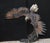 Large 20th Century Bronze Sculpture of an American Bald Eagle For Sale - Image 3 of 8